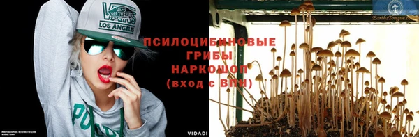 крисы Семилуки