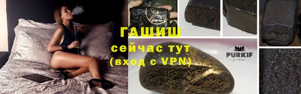 хмурый Инсар